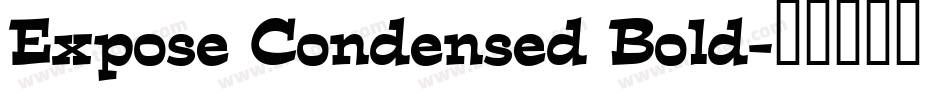 Expose Condensed Bold字体转换